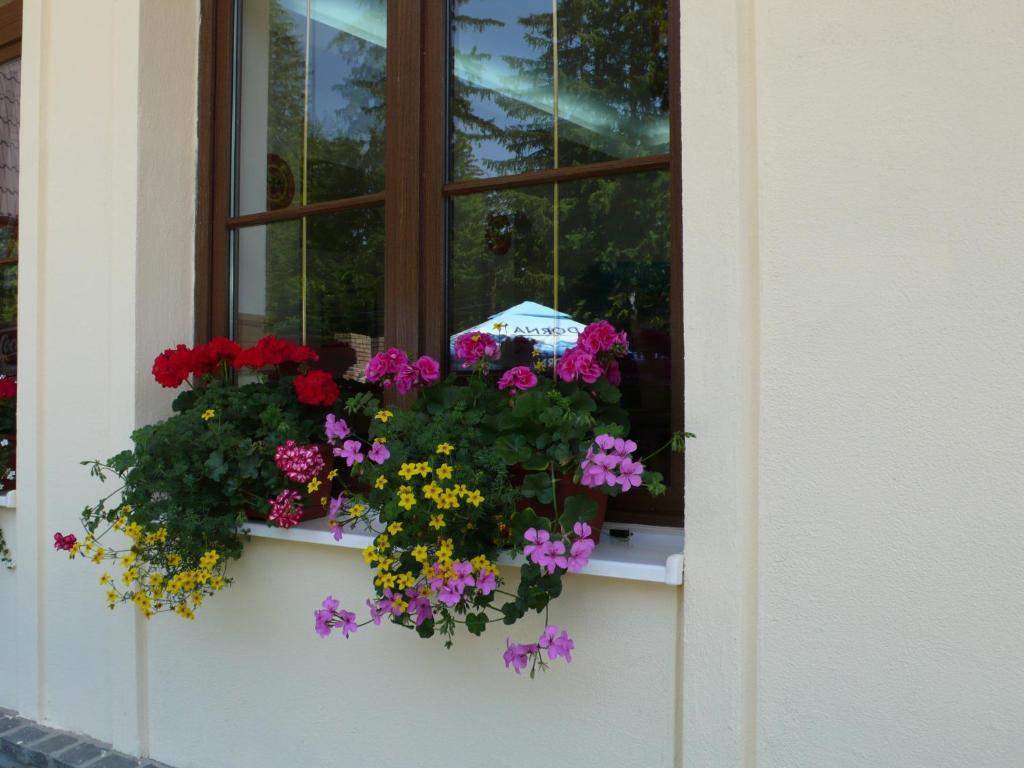 Hotel Ruia Poiana Brasov Luaran gambar
